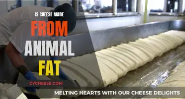 Cheese Origins: Animal Fat and Its Role