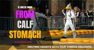 Cheese's Calf Stomach Origin: Fact or Fiction?