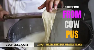 Cheese: Cow Pus Myth or Reality?