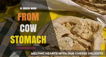 Unveiling the Mystery: Is Cheese Really Cow Stomach Cream?