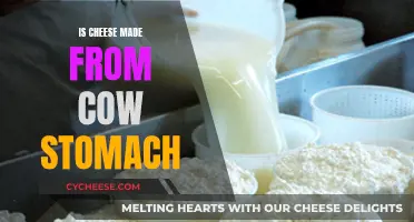 Cheese and Cow Stomachs: A Surprising Culinary Connection