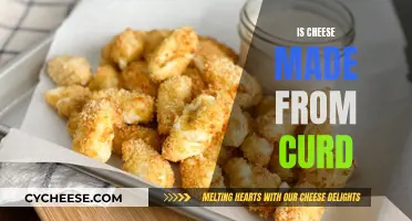 Cheese and Curds: What's the Connection?