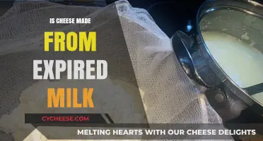 Is Expired Milk the Secret Ingredient in Cheese?