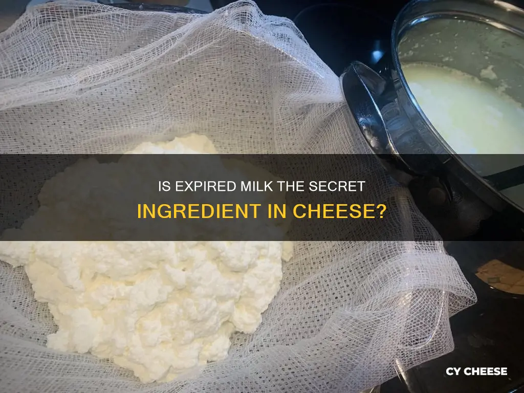 is cheese made from expired milk