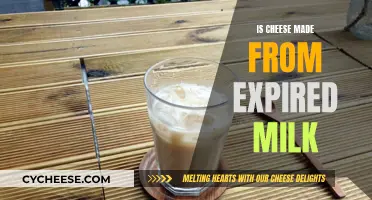 Cheese: Expired Milk's Second Life
