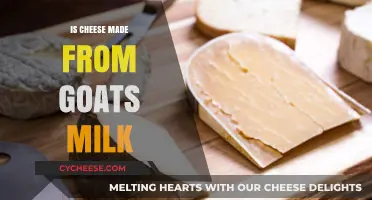 Goat's Milk Cheese: Unveiling the Creamy Truth