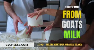 Goat Milk Cheese: A Healthy Alternative
