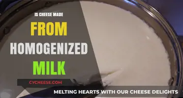 Unveiling the Process: Is Cheese Always Made from Homogenized Milk?