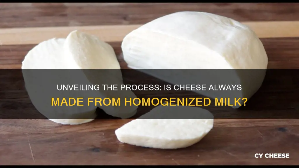 is cheese made from homogenized milk