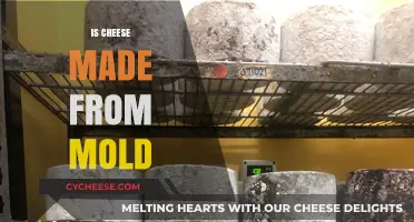 Unveiling the Moldy Mystery: Is Cheese a Mold Masterpiece?