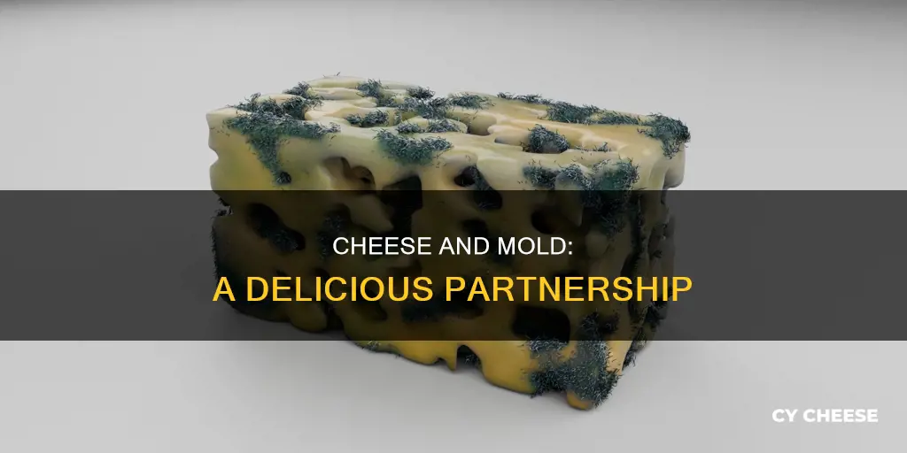 is cheese made from mold