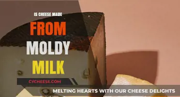 Unveiling the Moldy Mystery: Is Cheese a Moldy Milk Masterpiece?