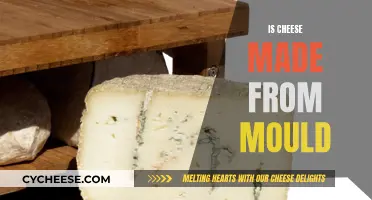 Cheese and Mould: A Delicious Partnership