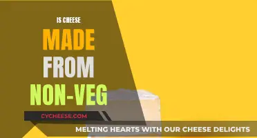 Cheese Origins: Exploring Non-Veg Sources and Dairy