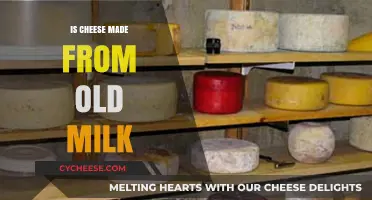 The Surprising Secret Behind Old Milk Cheese