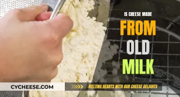 Cheese and Old Milk: What's the Connection?
