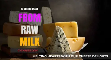 Unveiling the Raw Milk Mystery: Is Cheese Always Pasteurized?