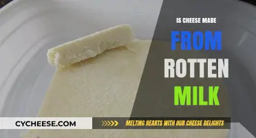 Unveiling the Mystery: Is Cheese Really Made from Rotten Milk?