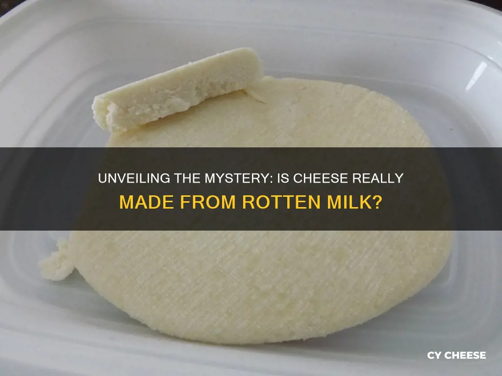 is cheese made from rotten milk