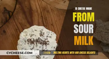 Cheese and Sour Milk: What's the Connection?