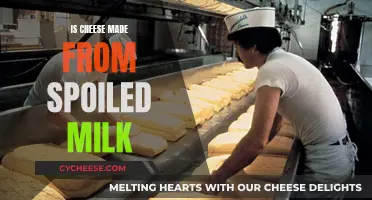 Cheese and Spoiled Milk: What's the Connection?