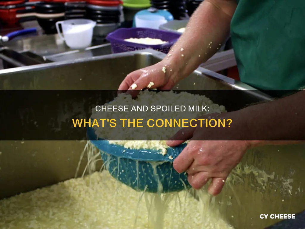 is cheese made from spoiled milk