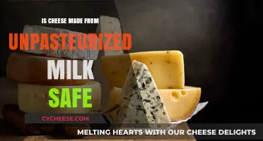 Is Raw Milk Cheese Safe? Uncovering the Risks and Benefits