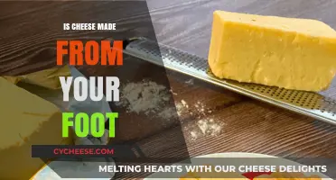 Uncovering the Truth: Is Foot-Made Cheese a Myth or Reality?