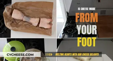 Cheese and Feet: An Unlikely Combination Explored