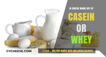 Unraveling the Mystery: Casein or Whey? Cheese's Secret Ingredient