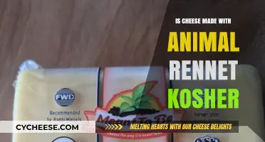 Is Cheese Kosher? Unraveling the Mystery of Animal-Derived Ingredients