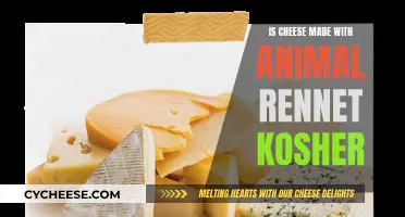 Cheese and Animal Rennet: Kosher or Not?