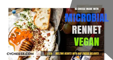 Vegan Cheese: Microbial Rennet's Role in Plant-Based Production