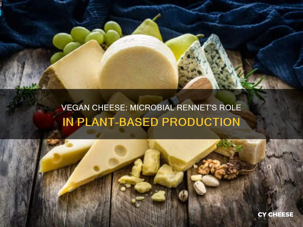 is cheese made with microbial rennet vegan