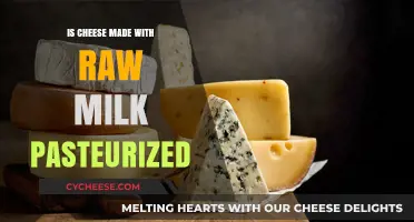 Raw Milk Cheese: Pasteurization Process and Its Impact