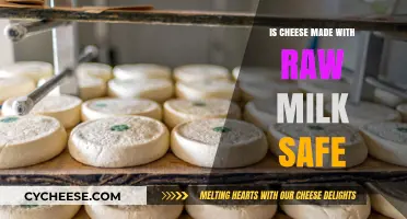 Raw Milk Cheese: Exploring Safety and Flavor