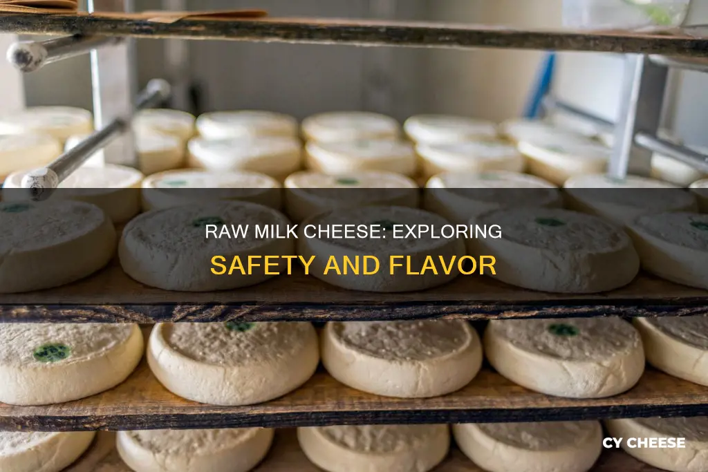 is cheese made with raw milk safe