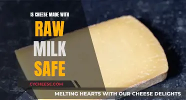 Raw Milk Cheese: Safe or Not?