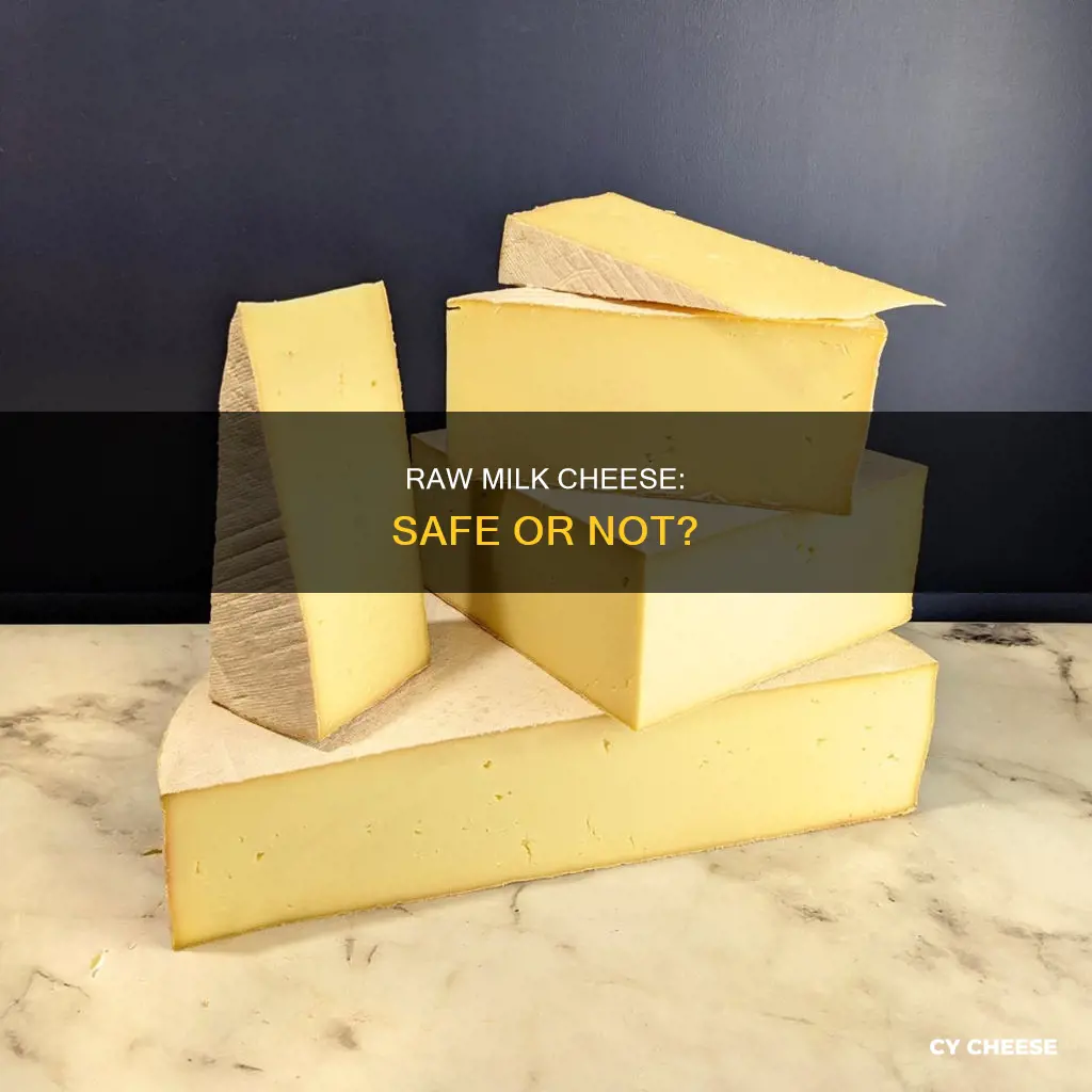 is cheese made with raw milk safe
