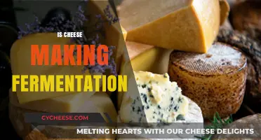 Is Cheese Making Fermentation? Unraveling the Dairy Transformation Process