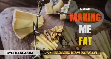Is Cheese Making Me Fat? Unraveling the Dairy Dilemma