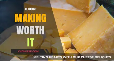 Is Homemade Cheese Worth the Effort? Pros, Cons, and Tips