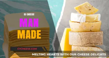 The Art of Cheese: Crafting a Man-Made Marvel