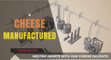 Is Cheese Manufactured? Uncovering the Process Behind Your Favorite Dairy