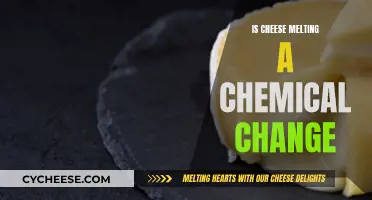 Cheese Melting: Chemistry or Magic?