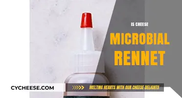 Exploring Cheese Production: Microbial Rennet's Role in Coagulation