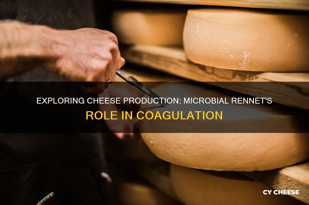 is cheese microbial rennet