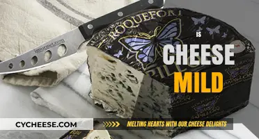 Exploring Cheese Intensity: Is Cheese Mild or Bold in Flavor?