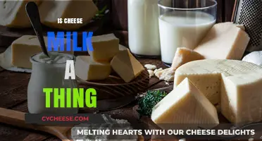 Is Cheese Milk Real? Unraveling the Dairy Mystery