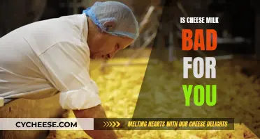 Cheese and Milk: Healthy or Harmful?